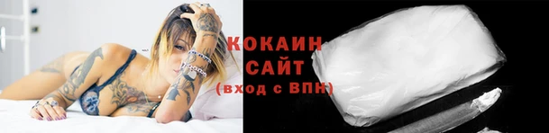 Альфа ПВП Протвино