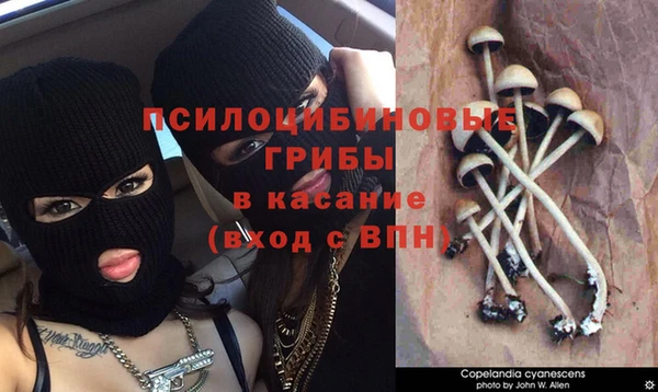 молекула духа Алзамай