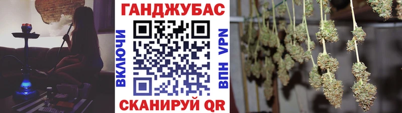 Конопля план купить закладку блэк спрут как войти Мураши